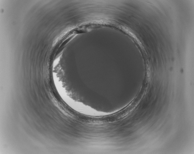 X0000085220677200704091932