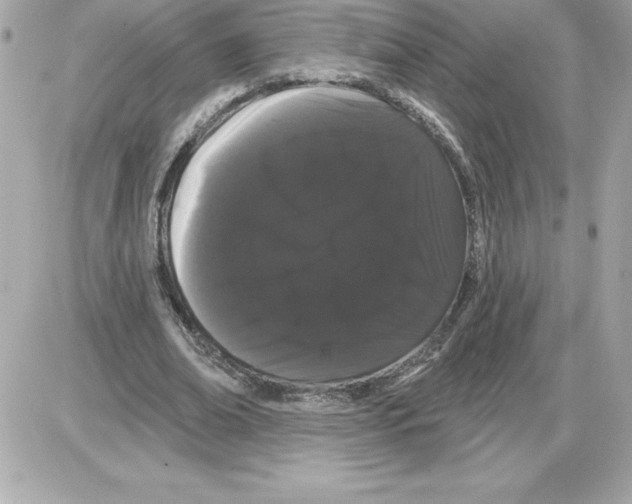 X0000085220678200704091932