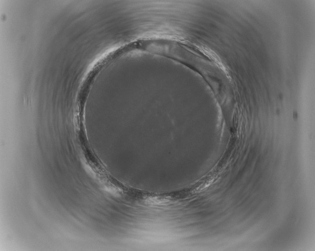 X0000085220680200704091932