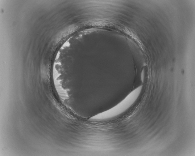 X0000085220681200704091932