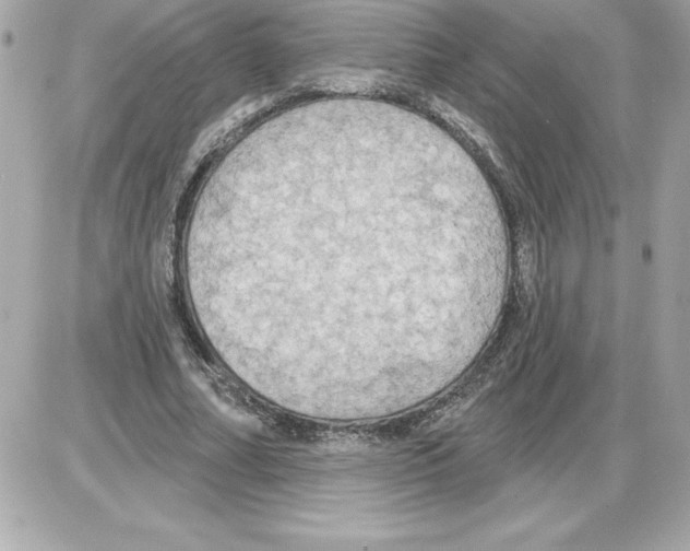 X0000085220682200704091932