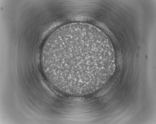 X0000085220683200704091932