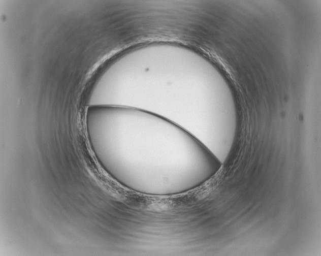 X0000085220684200704091932