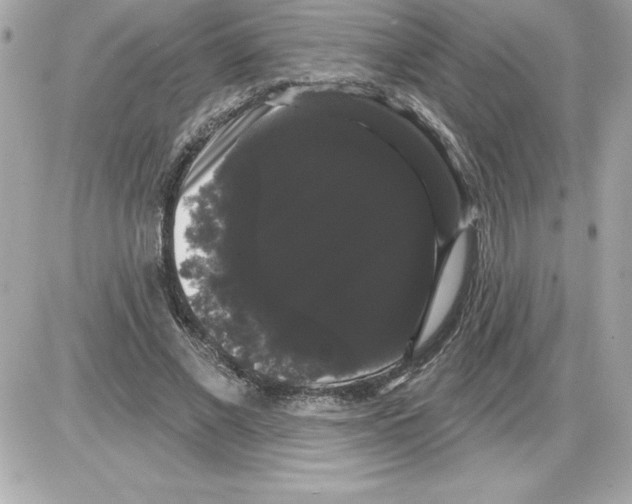 X0000085220685200704091932