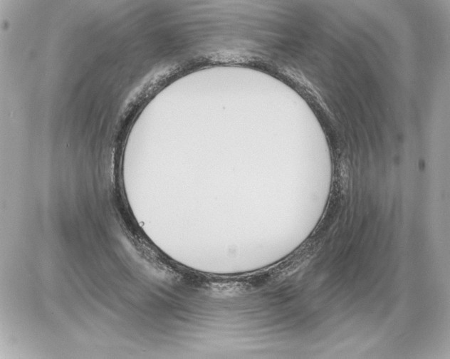 X0000085220686200704091932