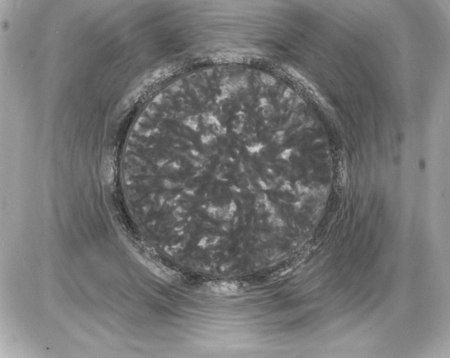 X0000085220687200704091932