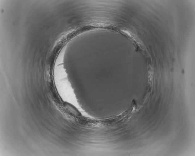 X0000085220688200704091932