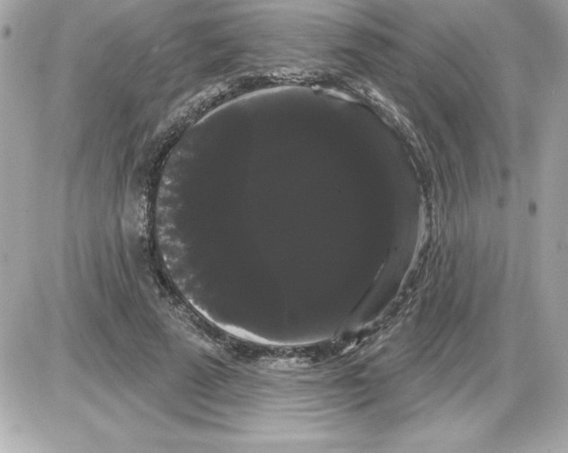 X0000085220689200704091932