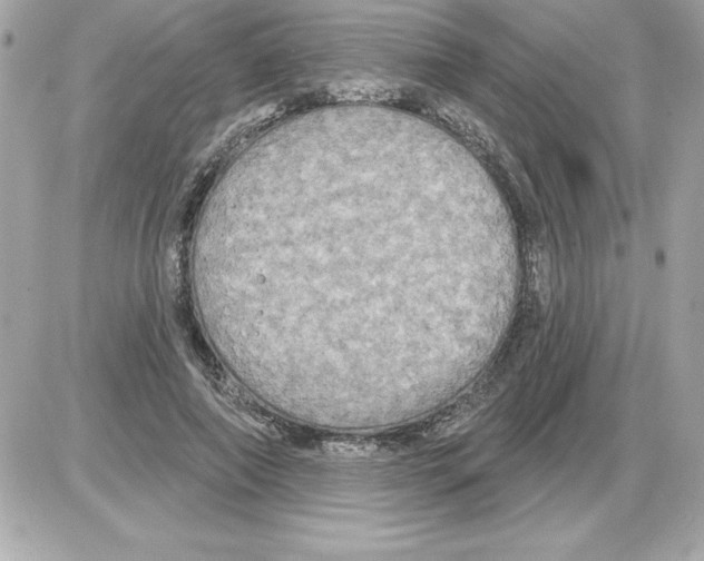 X0000085220690200704091932