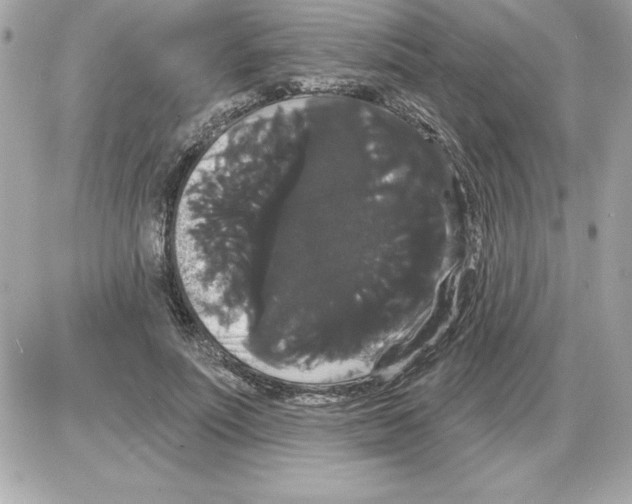 X0000085220691200704091932