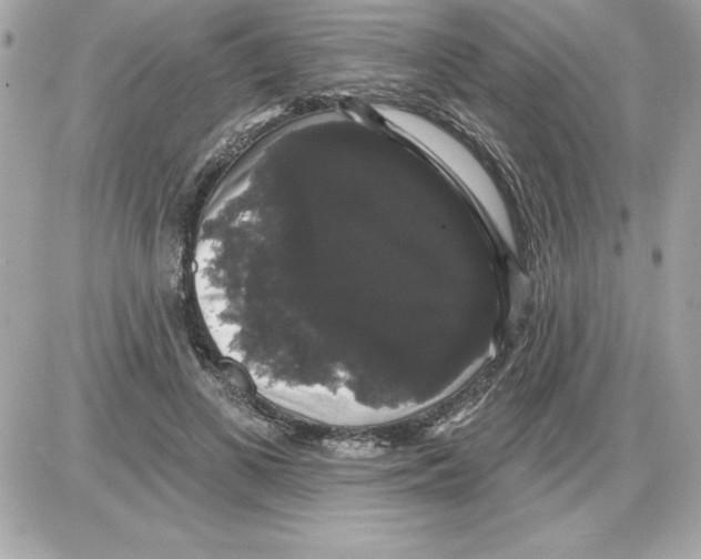 X0000085220693200704091932