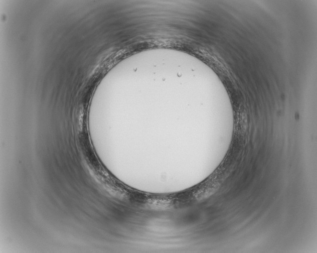 X0000085220694200704091932