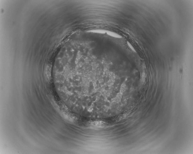 X0000085220695200704091932