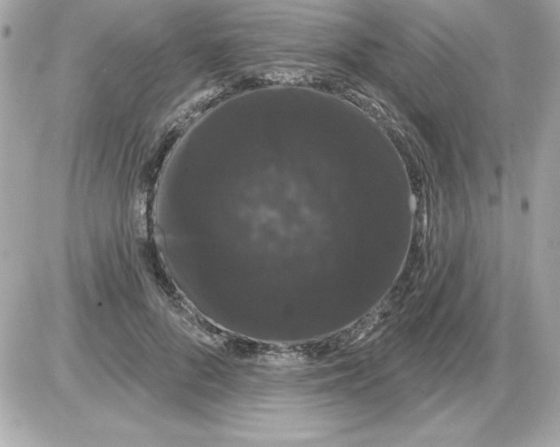 X0000085220696200704091932