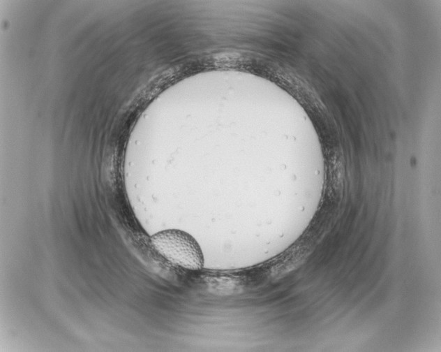 X0000085220698200704091932