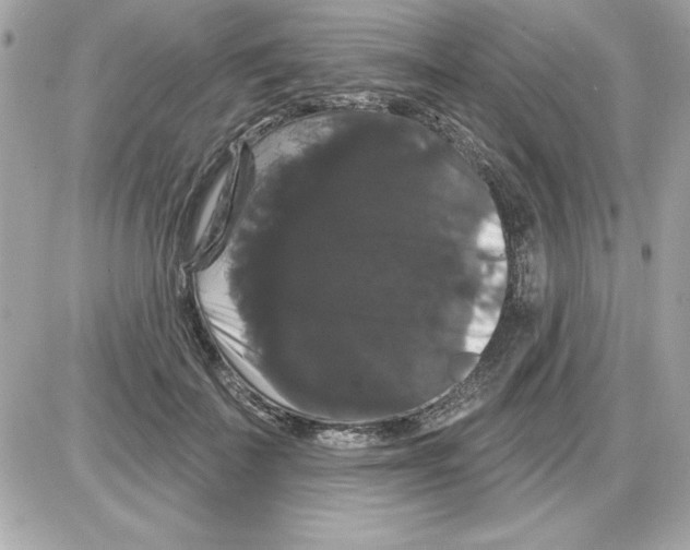 X0000085220699200704091932