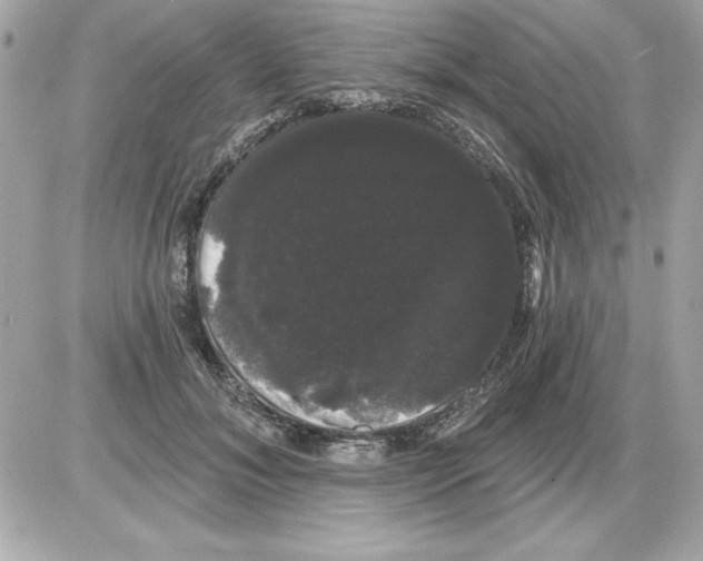 X0000085220700200704091932