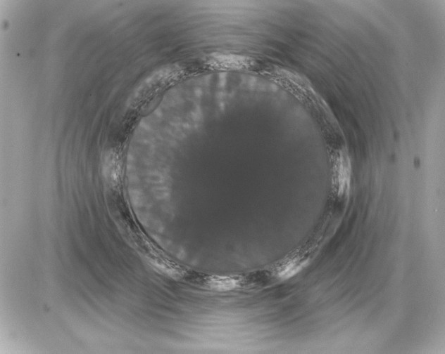 X0000085220701200704091932