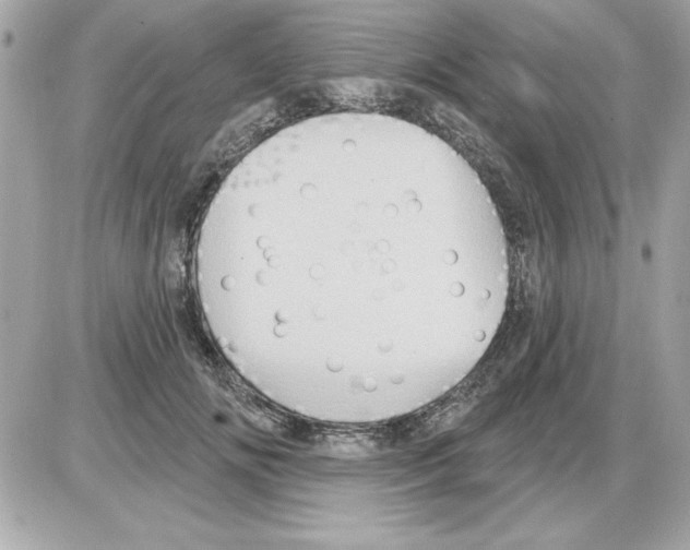 X0000085220702200704091932