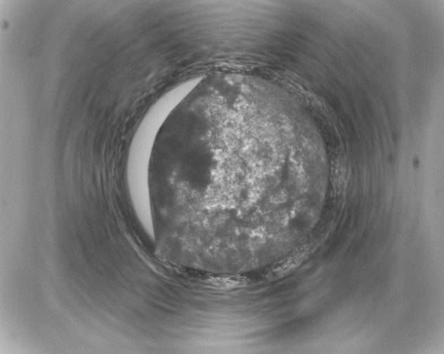 X0000085220703200704091932