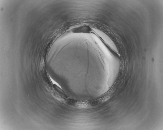 X0000085220704200704091932