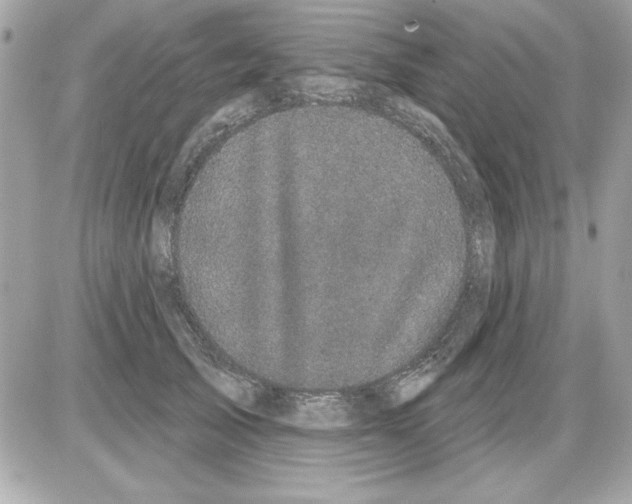 X0000085220705200704091932