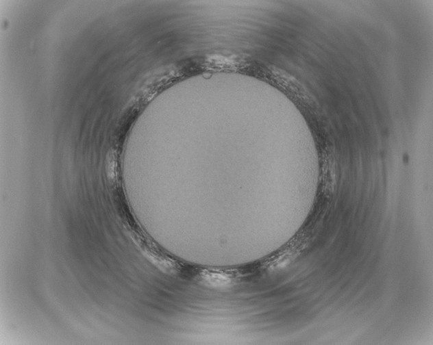 X0000085220706200704091932