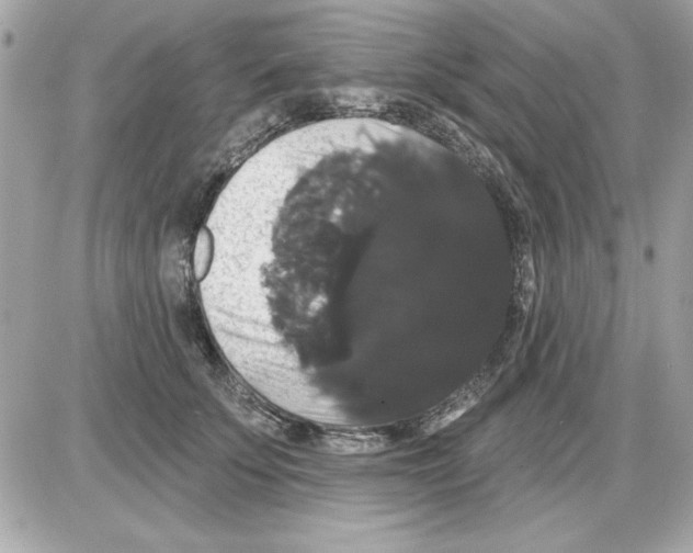 X0000085220707200704091932