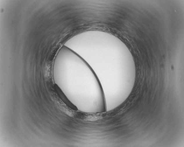 X0000085220708200704091932