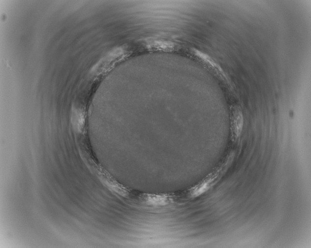 X0000085220709200704091932