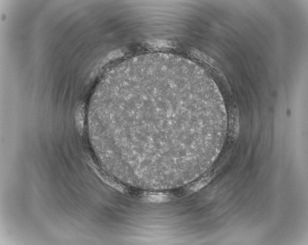 X0000085220710200704091932