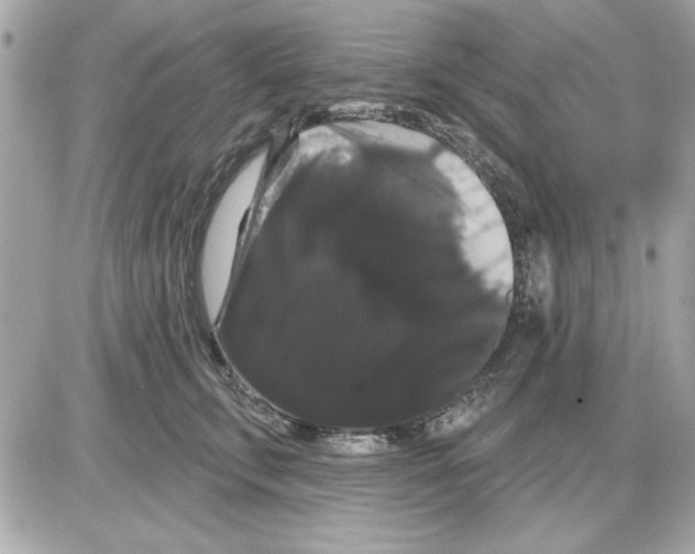 X0000085220711200704091932