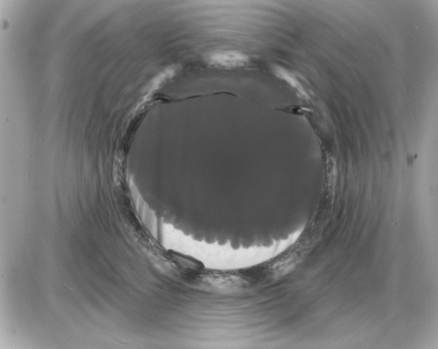 X0000085220712200704091932