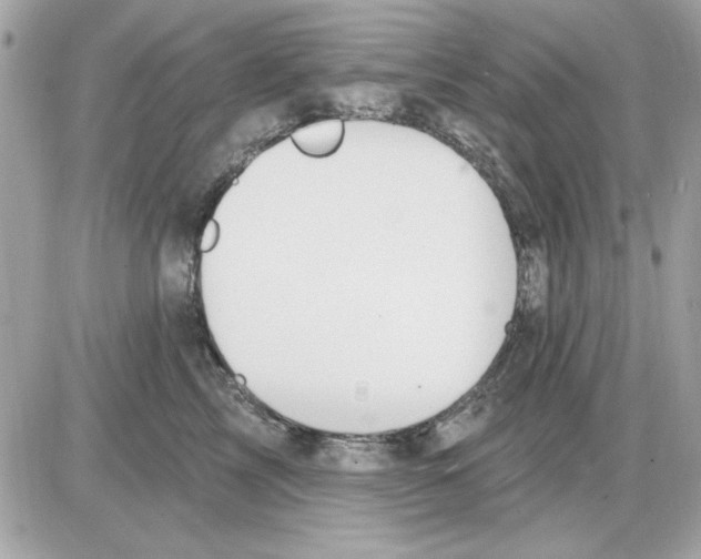 X0000085220713200704091932