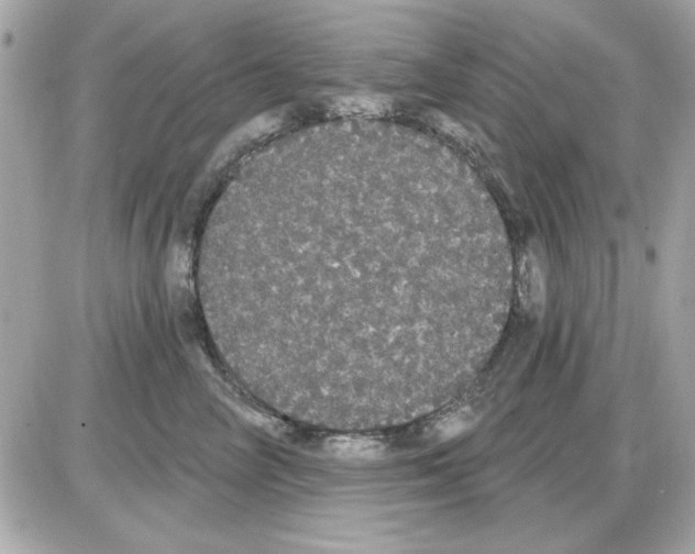 X0000085220714200704091932