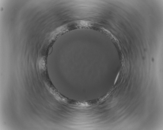 X0000085220715200704091932