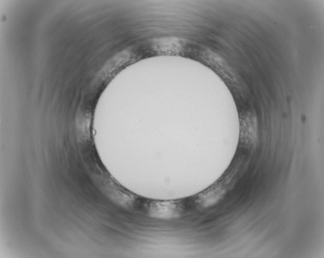 X0000085220717200704091932