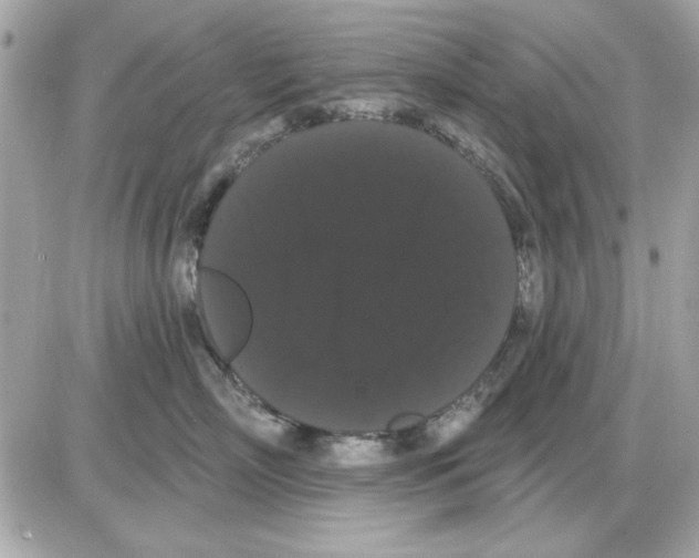 X0000085220718200704091932