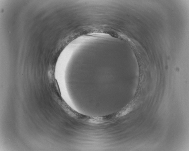 X0000085220720200704091932