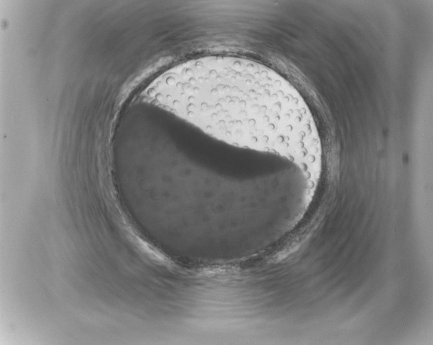 X0000085220721200704091931