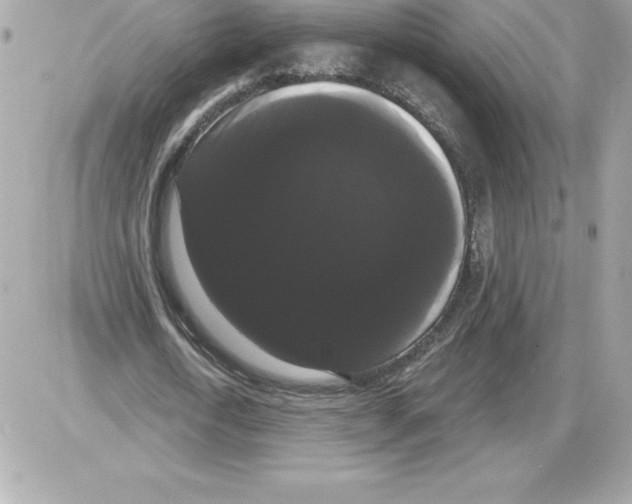 X0000085220722200704091931