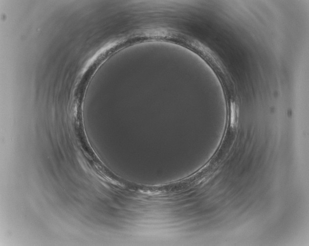 X0000085220723200704091931