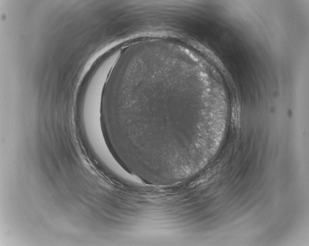 X0000085220724200704091931