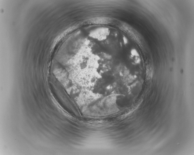 X0000085220725200704091931