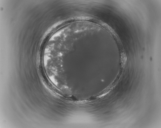 X0000085220726200704091931