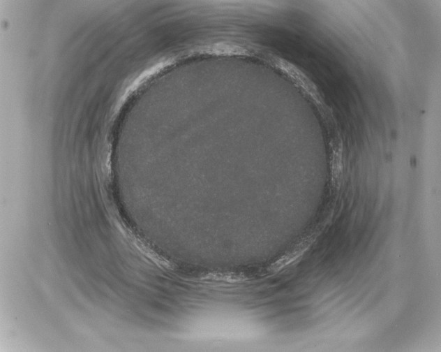 X0000085220727200704091931