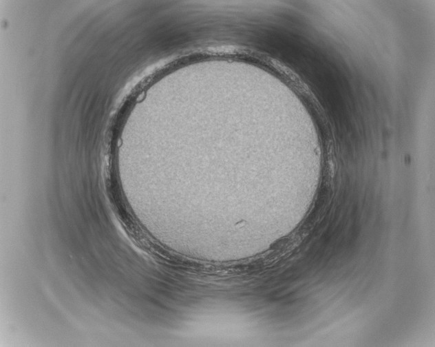 X0000085220728200704091931