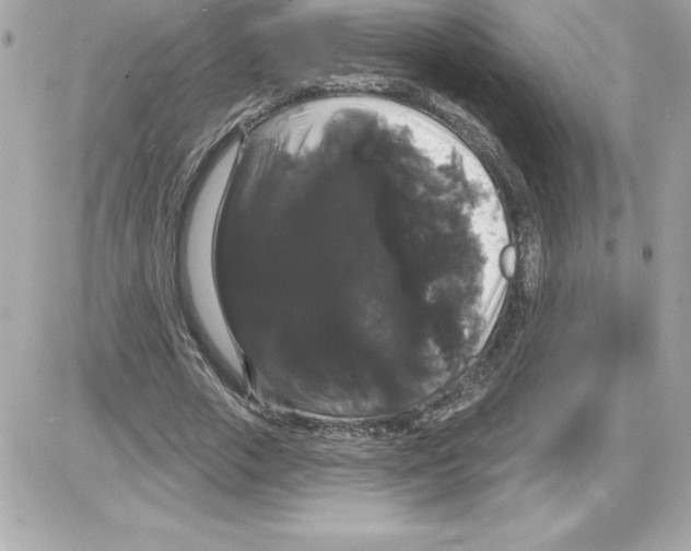 X0000085220729200704091931