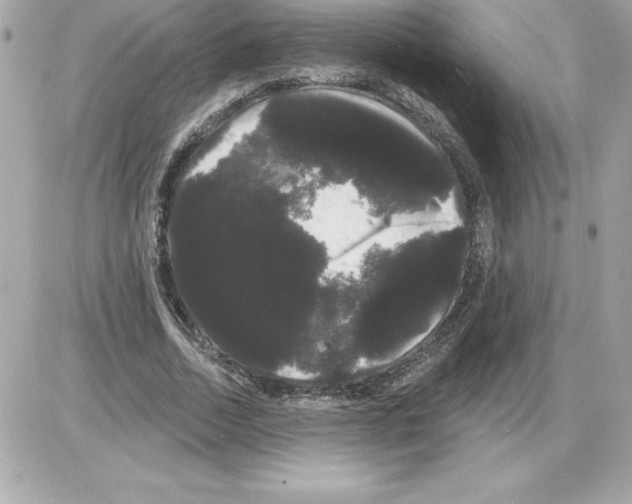 X0000085220730200704091931