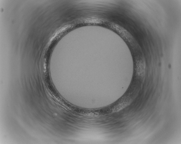 X0000085220731200704091931